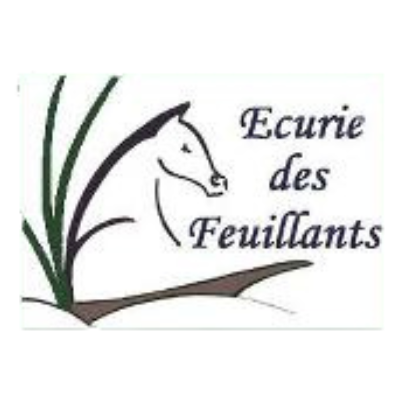 Logo client